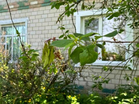 будинок за адресою Центральна