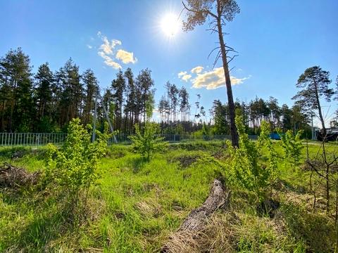 ділянка за адресою Вишнева вул. (Леніна)