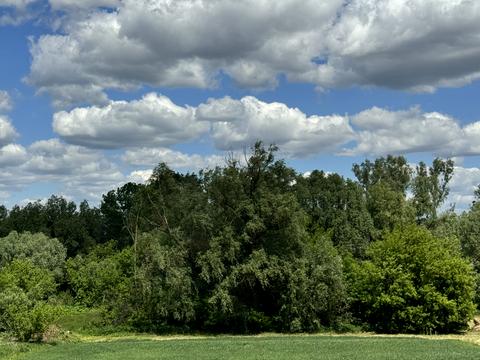 будинок за адресою Центральна, 53