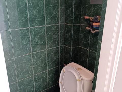 1866516454328551.jpg