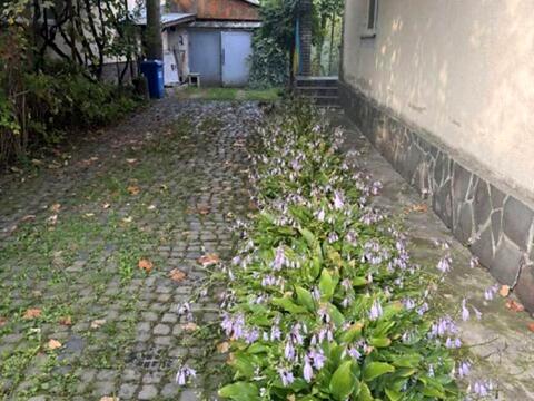 будинок за адресою  Хуст, Нова