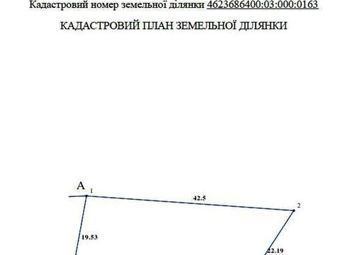 1866519565487315.jpg