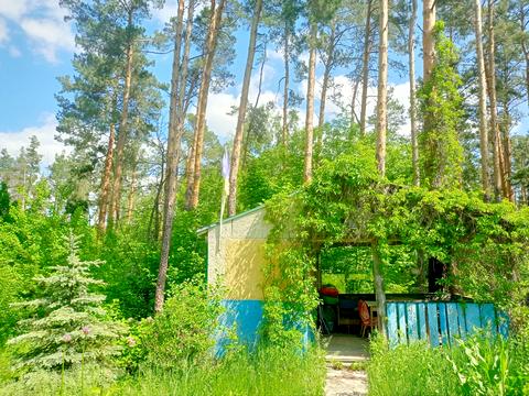 дом по адресу СТ Веселка