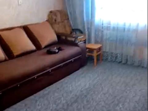 квартира по адресу Михаила Лушпы просп., 39