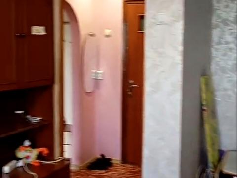 квартира по адресу Михаила Лушпы просп., 39