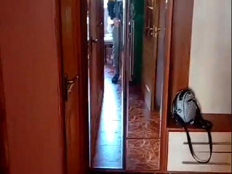 квартира по адресу Михаила Лушпы просп., 39
