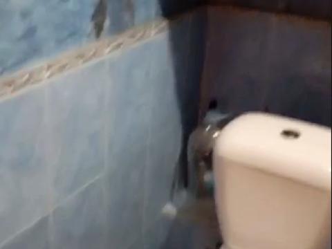 квартира по адресу Михаила Лушпы просп., 39
