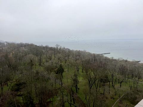 квартира за адресою Французький бульв., 29A