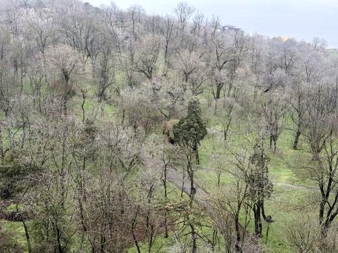 квартира за адресою Французький бульв., 29A