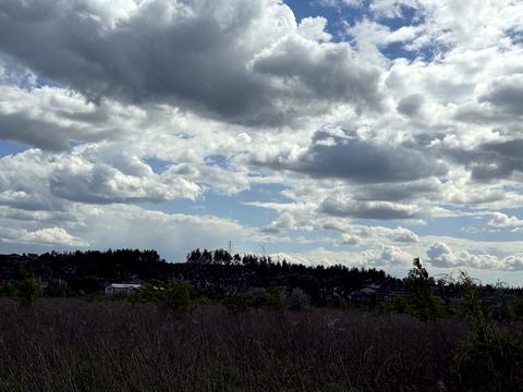 участок по адресу Зоряна, 11