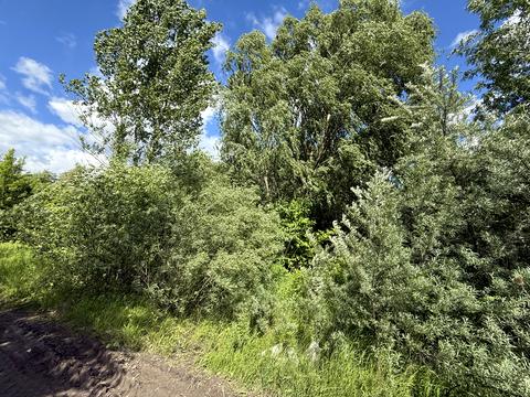 участок по адресу Зоряна, 11