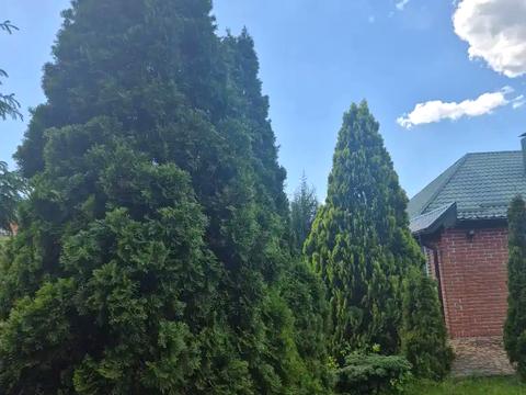 будинок за адресою Чиркова вул., 26