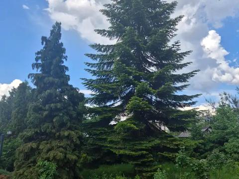 будинок за адресою Чиркова вул., 26