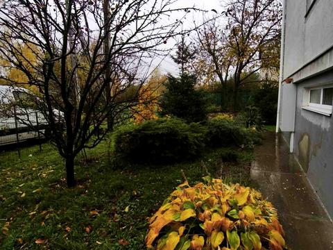 квартира за адресою Горіхова вул., 1