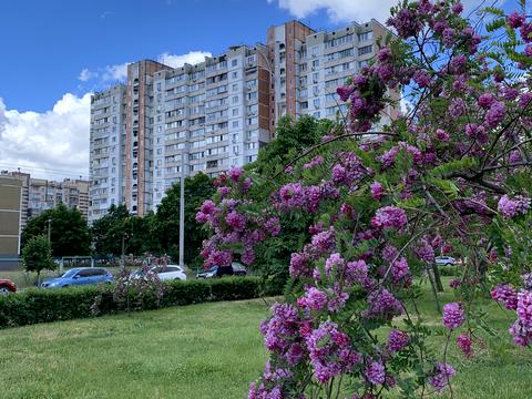 квартира по адресу Константина Данькевича ул., 7