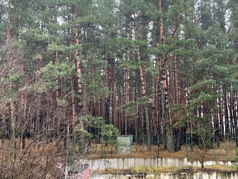 будинок за адресою Лісова
