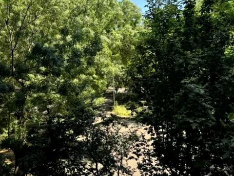 квартира по адресу Аркадиевский пер., 9/1