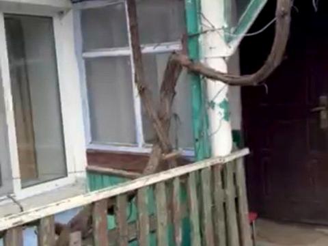 дом по адресу Тараса Шевченко