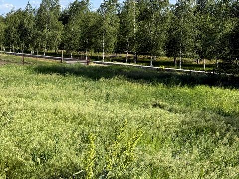 будинок за адресою Янтарна, 6