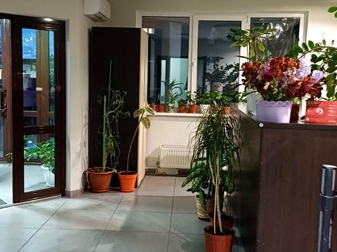 квартира за адресою Марсельська вул., 58