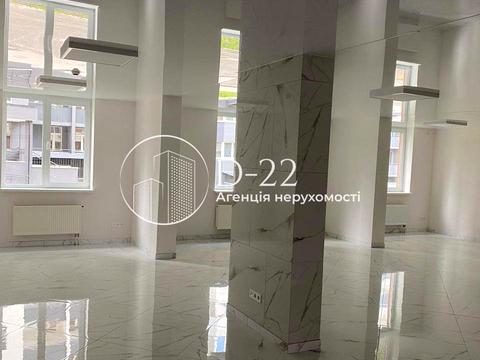 комерційна за адресою Симона Петлюри вул. (Черняховського), 21-В