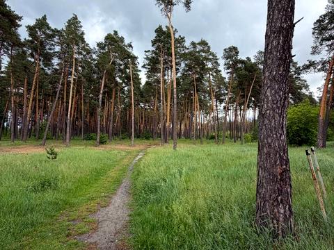ділянка за адресою Квітнева вул. (Калініна)