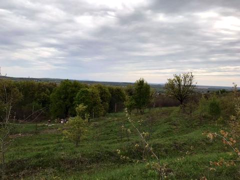 участок по адресу Центральна
