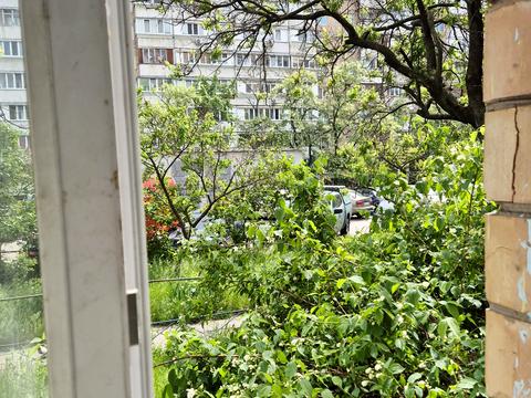квартира по адресу Северная ул. (Північна), 50
