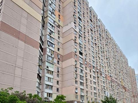 комерційна за адресою Олени Пчілки вул., 4