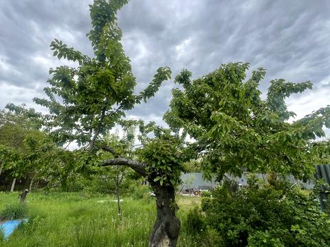 будинок за адресою с. Мала Солтанівка, Комсомольська