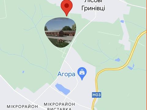 будинок за адресою с. Лісові Гринівці, Йосьова дорога, 17