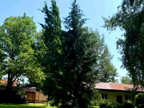 будинок за адресою Мистецька вул., 7