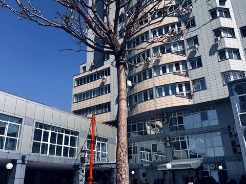 квартира за адресою Вадима Гетьмана вул., 1-Б