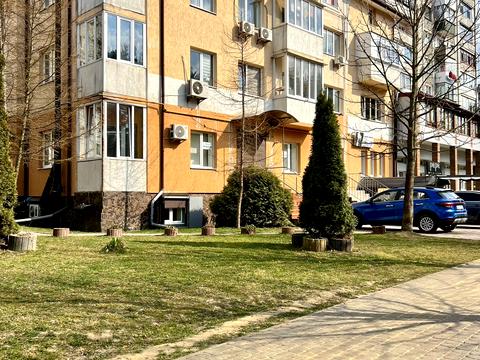 комерційна за адресою Андрея Шептицького вул., 5