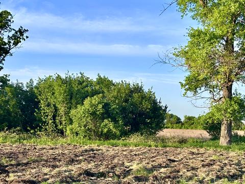 ділянка за адресою вул.Шевченка