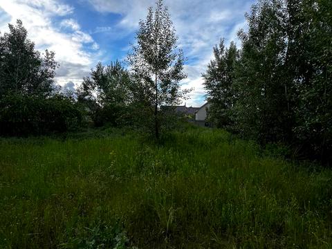 ділянка за адресою с. Осещина, Гранатова