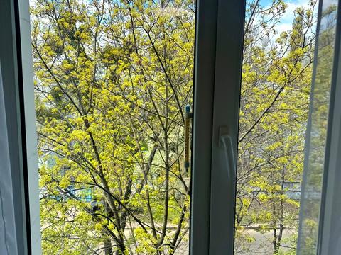 квартира по адресу Михаила Донца ул., 15/41