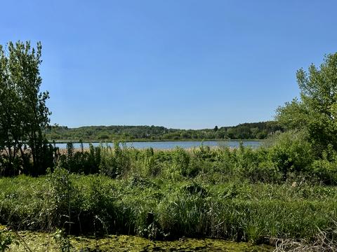 участок по адресу Кармелюка
