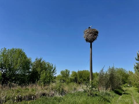 участок по адресу Кармелюка