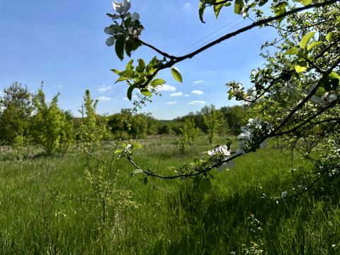участок по адресу Кармелюка