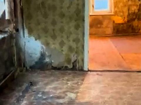 дом по адресу Бобруйская ул., 31