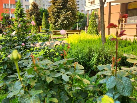 квартира за адресою Олени Пчілки вул., 3