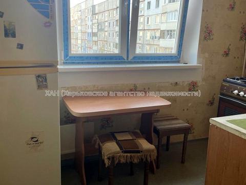 квартира за адресою Соборності України вул. (Дружби Народів), 211