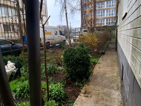 квартира за адресою Центральна вул., 40