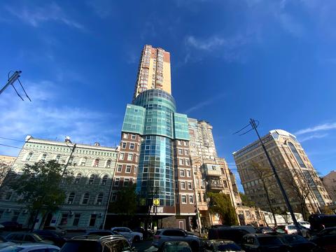 комерційна за адресою Жилянська вул., 118