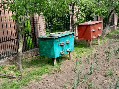 будинок за адресою Василя Стуса пров. (Ворошиловградський)