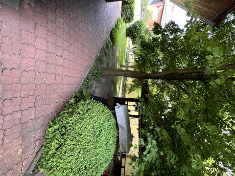 будинок за адресою с. Петропавлівська Борщагівка, Каштанова вул., 48