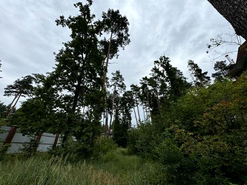 ділянка за адресою Соснова