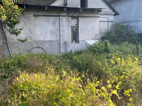 ділянка за адресою Одеса, Бажана вул. (Степова 3-я), 65