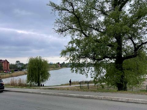 ділянка за адресою Райдужна вул., 42